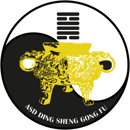 DING SHENG KUNG FU